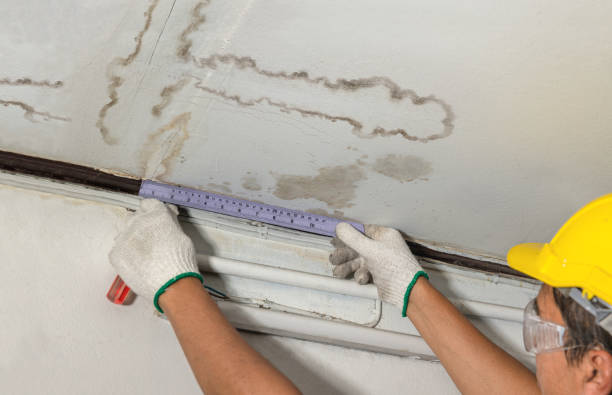 Reliable Mold Remediation contractor in Cumberland, KY by Water Damage Irwin